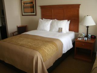 Best Western Cannon A.F.B. - Clovis - 6