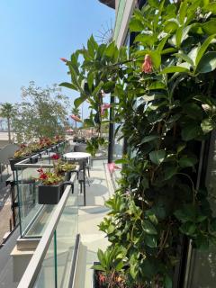 Dot Tradition - Vlorë - 9
