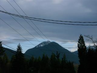Mountain View Lodge - No Pets allowed - Packwood - 6