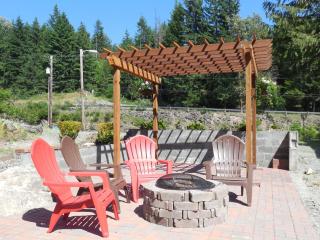 Mountain View Lodge - No Pets allowed - Packwood - 1