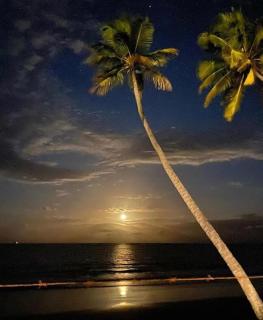 Flat luxo torre 07 Eco Resort Praia dos Carneiros - 8