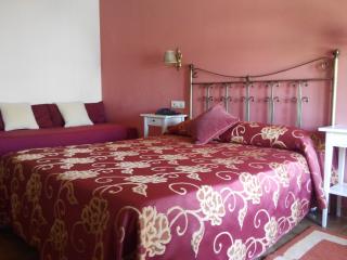 Hotel Amandi - 7