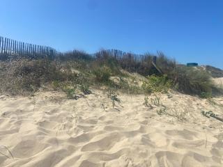 Vue sur dunes ! - Sangatte - 7