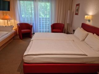 Hotel Rebstock - Ohlsbach - 8