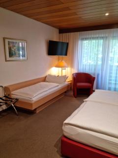 Hotel Rebstock - Ohlsbach - 9