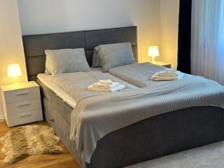 Alpina Appartment Kandersteg - Kandersteg - 9