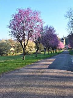 La MUSARDIERE Gîte paisible à la campagne - - 0
