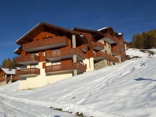 Paradiski pied des pistes vallandry - Landry - 7