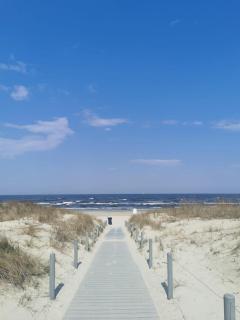 Villa Adler- Waldseite - 5