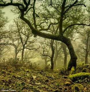 Complejo Rural Huerta Grande - 4