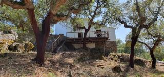 Casa do Pássaro - 4