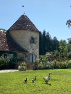 Le Colombier de Malpas - Quingey - 0