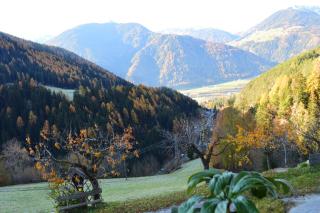 Martlerhof Urlaub auf dem Bauernhof - 4