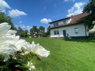 Amonit - Olsztyn - 4