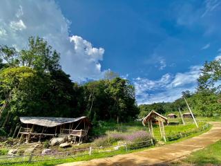 Daelorpu 1 แดลอปู - - 2