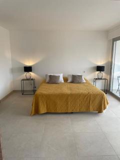 Paca properties -EC14- Appartements T2 - Cannes - Cannes - 7