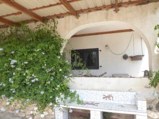 Mas Blauet - Finca with 2 holiday houses and shared pool - Rasquera - 3