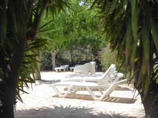 Mas Blauet - Finca with 2 holiday houses and shared pool - 7