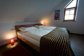 Apartmaji Smogavc - Zreče - 7
