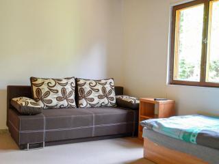 Holiday Home Kemp Stříbrný rybník-13 by Interhome - Hradec Králové - 5