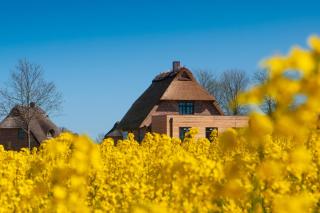 Reetdorf Geltinger Birk Atelierhaus Steilküste - Nieby - 0