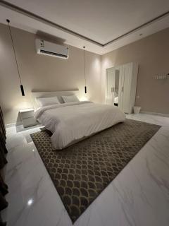 شقة مودرن في حي العقيق - 4