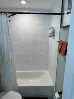 Grand Oaks Retreat in the Heights - Tampa - 5