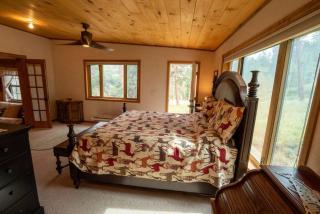 Warm Woodland Getaway with Land - 7