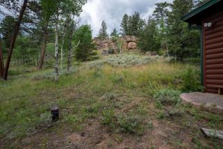 Warm Woodland Getaway with Land - 2