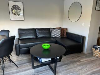 Cosy lakeview cabin 45 minutes from Reykjavik - 4