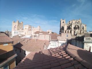 Studio terrasse vue cathédrale - Narbonne - 1