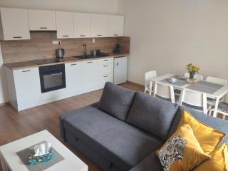 Apartmán Karlovice - Jeseníky - Karlovice - 0
