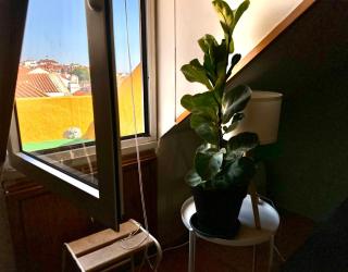 Parliament Ficus Studio - Lissabon - 6