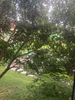 Savenndra Resorts - Malwana - 5