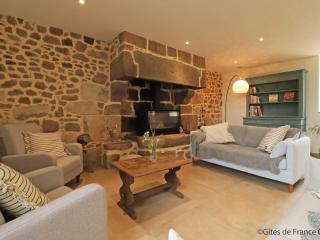 Maison spacieuse avec jardin, spa et salle de jeux - FR-1-497-187 - 7