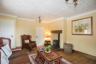 Frongoch Cottage - 8