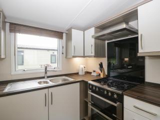 Swan - Leominster - 4
