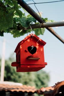 ΙΩ παραδοσιακή κατοικία στα Σύβοτα - 6