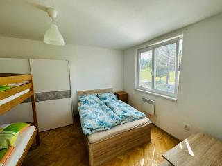 Apartmán pod Boubínem - Horní Vltavice - 1