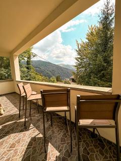 Casa Miu - Sinaia - 4