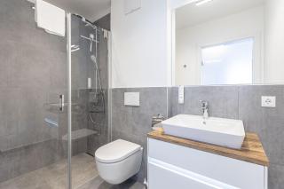Hideaway Dachstein West by ALPS RESORTS - 2