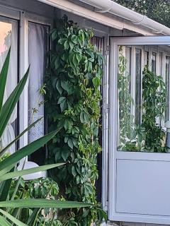 Guest House Maria - Ahtopol - 5