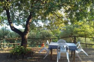 Lo Chalet di Ingrid - Casal Velino - 6