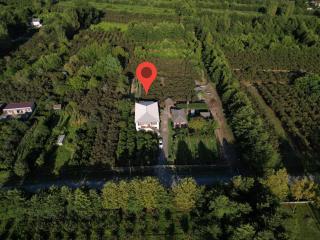 Ani's Green House - Anaklia - 7