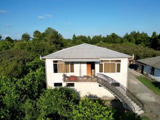 Ani's Green House - Anaklia - 8