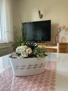 Schöne Wohnung, Bodenseenähe - Ravensburg - 5