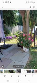 Knockrobin Cottage - 2