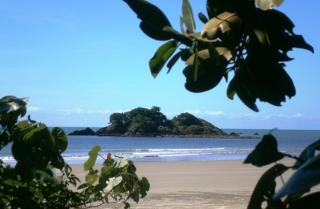 Thornton Beach Bungalows Daintree - Cape Tribulation - 6