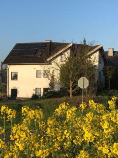 Ferienwohnung auf dem Maifeld - Gappenach - 3