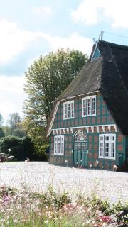 Gut Moorbeck - Amelhausen - 9